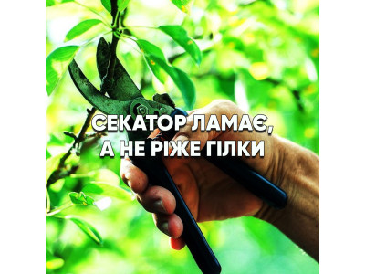 Секатор мнет ветки вместо среза: почему так и как вернуть чистый рез
